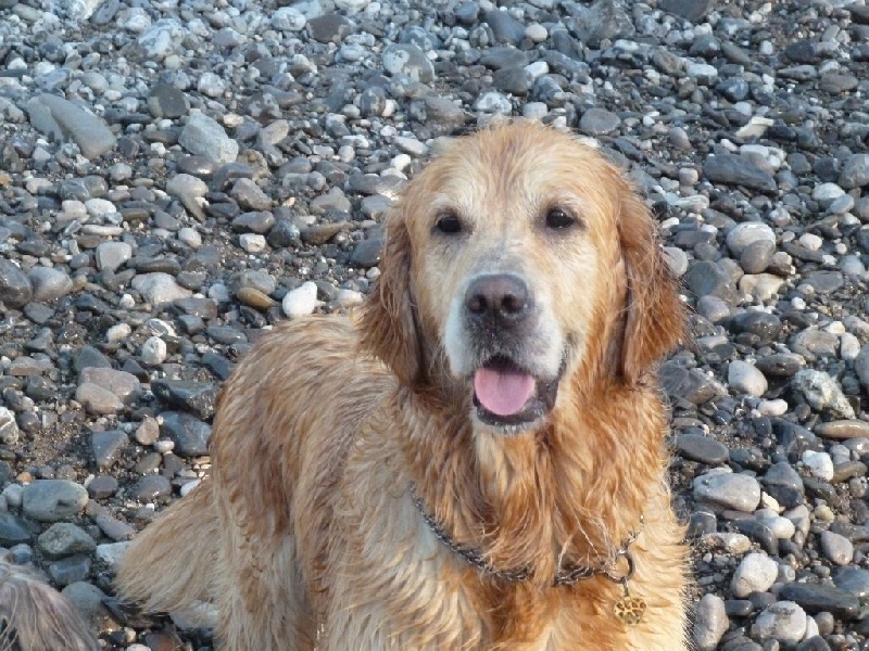 Engy of Black And Sand